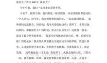 我发现我长大了作文