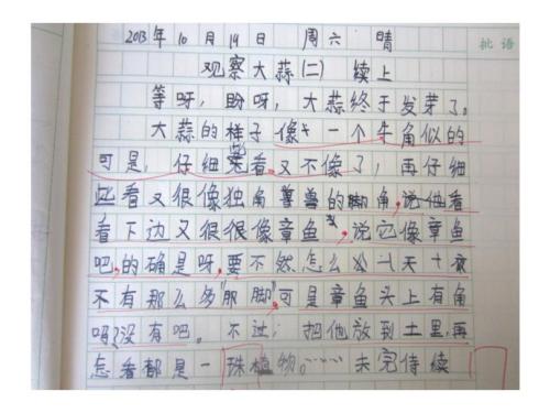 仙人掌观察日记