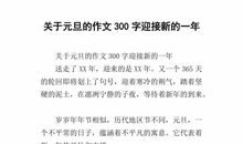 元旦趣事作文250字