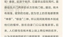 元旦记事作文800字