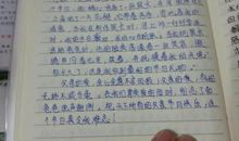 我爱爸爸的作文