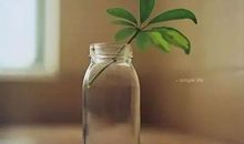 在低调中修炼自己