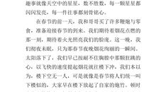 春节趣事作文450字