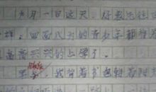 我的新书包作文500字