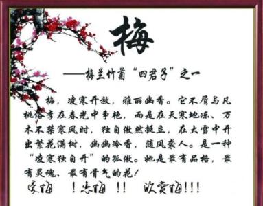 梅花组成600字