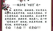 写梅花的作文600字