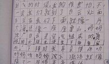 初中生日记大全