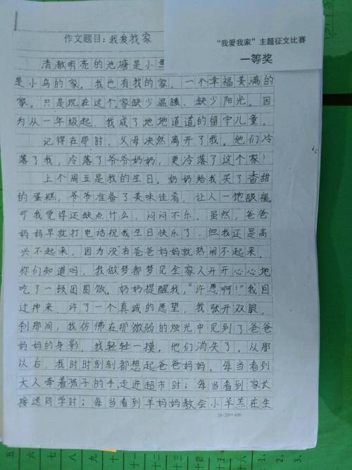 我的文明家庭组成