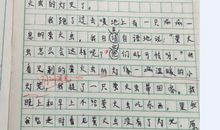 我发现什么的作文