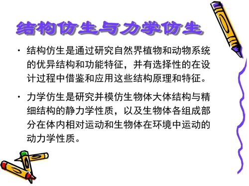 仿生学组成400字