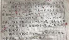 那一缕阳光作文