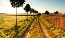 刘亮程经典语录