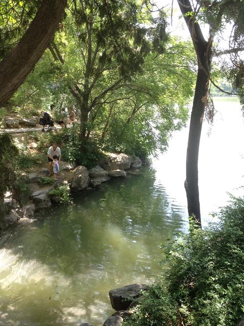 我发现生活中的美丽