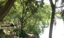 我发现了生活中的美