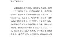 我爱我班作文500字