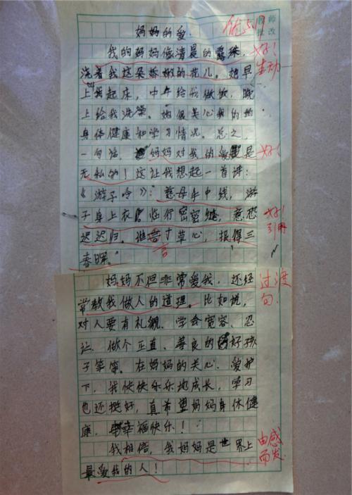 我收集的500个字