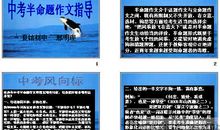 寻找什么半命题作文