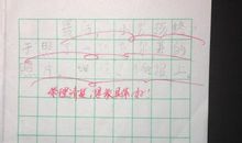 三年级小摄影师续写