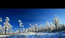 读林海雪原有感