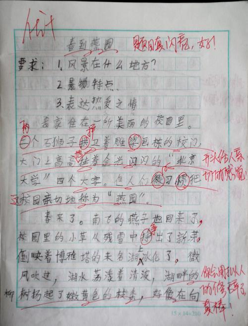 童年发现作文200字