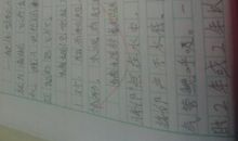 假如我是一只蜜蜂作文