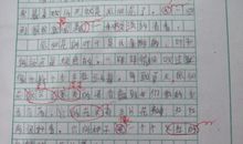 关于花的作文500字