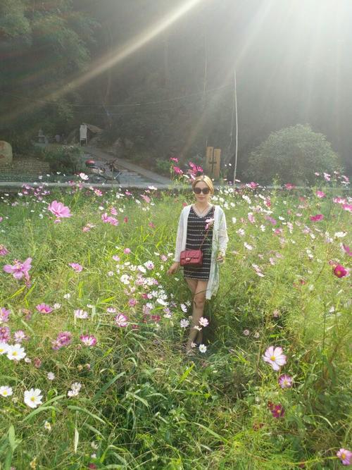 经典句:原谅自己的错误和伤害,继续前进