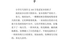 我的故乡作文300字