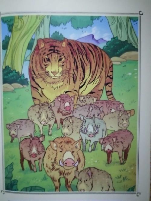 关于阅读《最后的大象》的思考