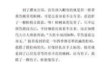 寻找春天的足迹作文400字