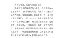 观察小狗的日记