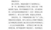 观察蚂蚁的作文400字