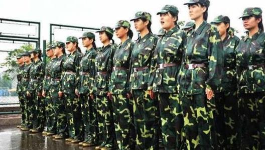 军事训练题目组成