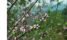 《情商》读后感