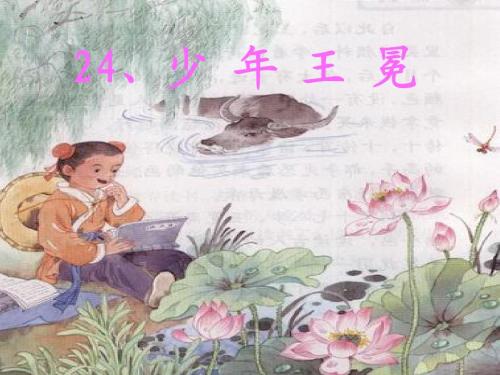 少年王绵的想法