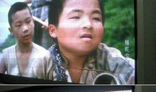 捕蛇少年读后感