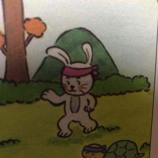 关于阅读乌龟和野兔的思考