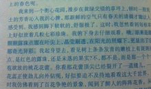 我的读书计划作文200字