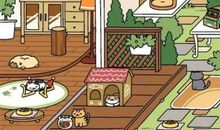 动植物给人类的启示