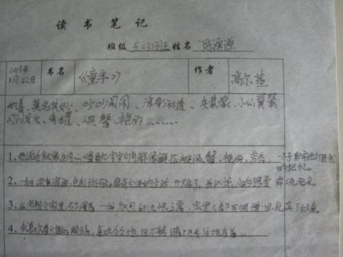 阅读《童年》第2章后