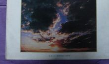 读《维也纳森林的故事》有感