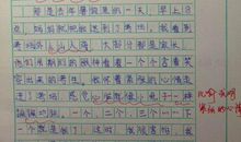 四年级作文如果我是