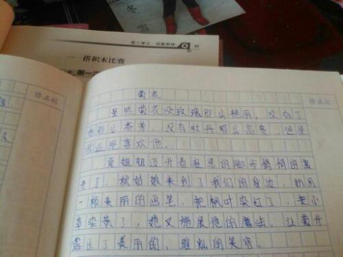 莲花的启蒙构图