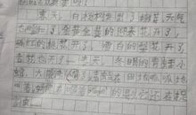 温暖的友情作文