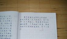 在亲情的阳光下作文