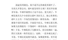 关于自然启示的作文