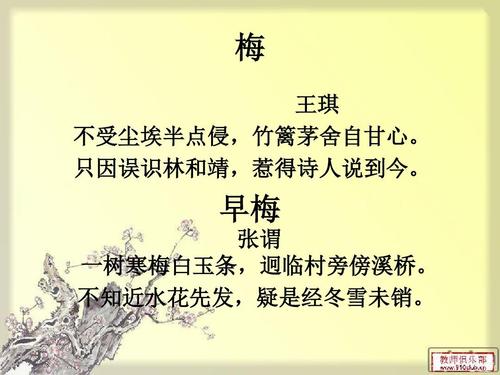 如果我是李子组成