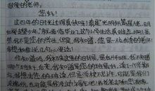 致老师的一封信