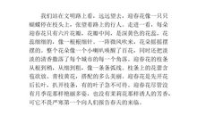 写玉兰花的作文