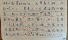 过年了作文200字